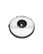 FILTRO DE AIRE FRANIG HCA0508
